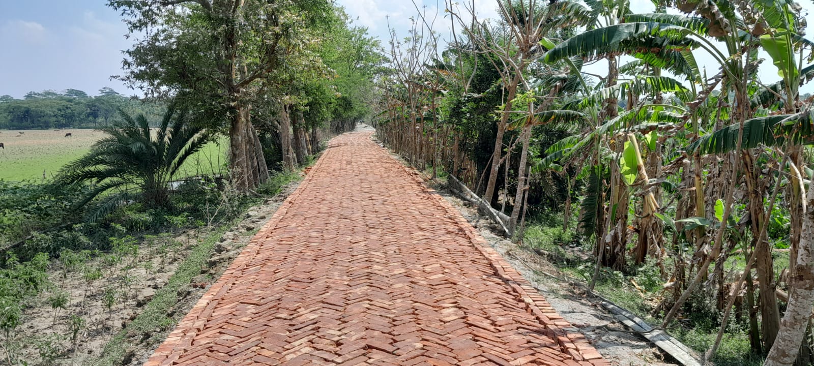 পত্তাশী ইউনিয়নের নির্মিত এইচবিবিকরণ রাস্তা