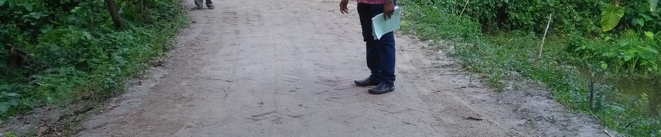 এইচবিবি প্রকল্প