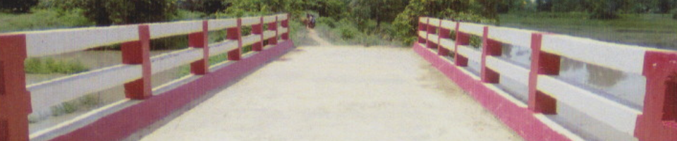 দুর্যোগ প্রস্তুতি দিবস-২০১৯