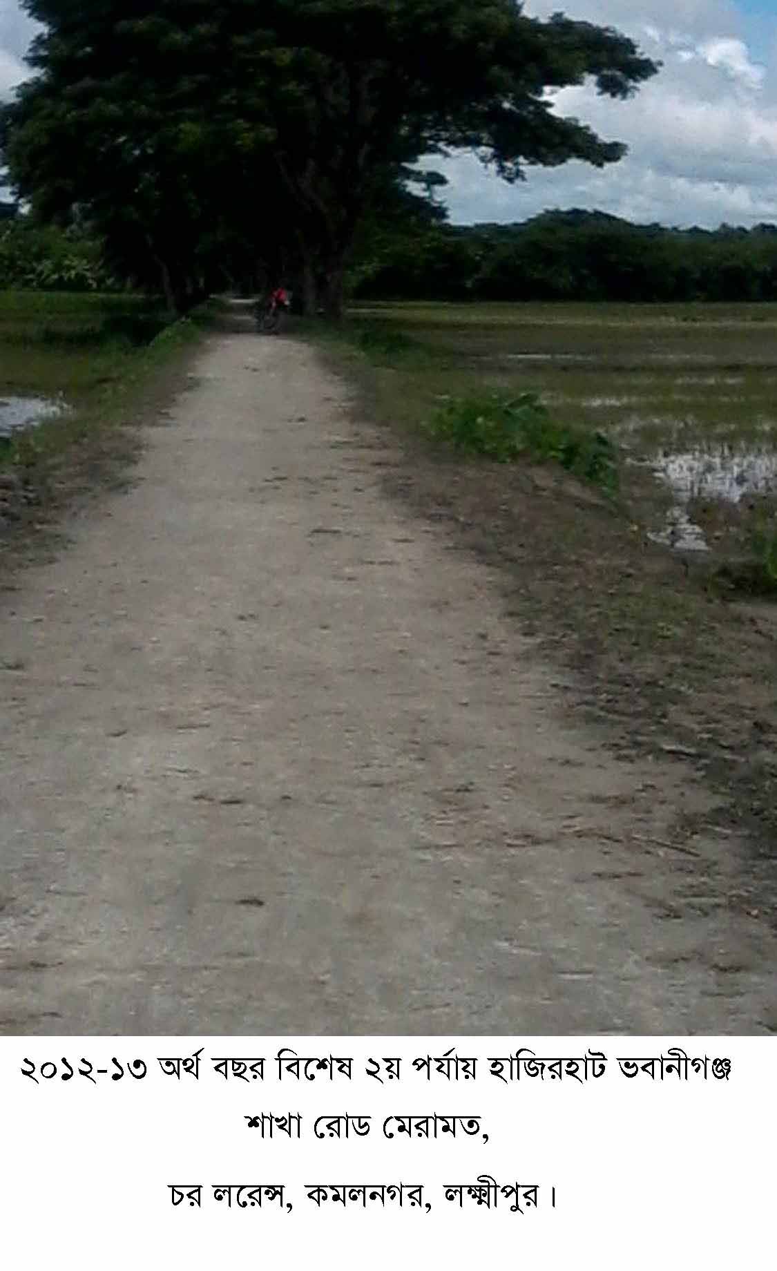 ফটো গ্যালারী