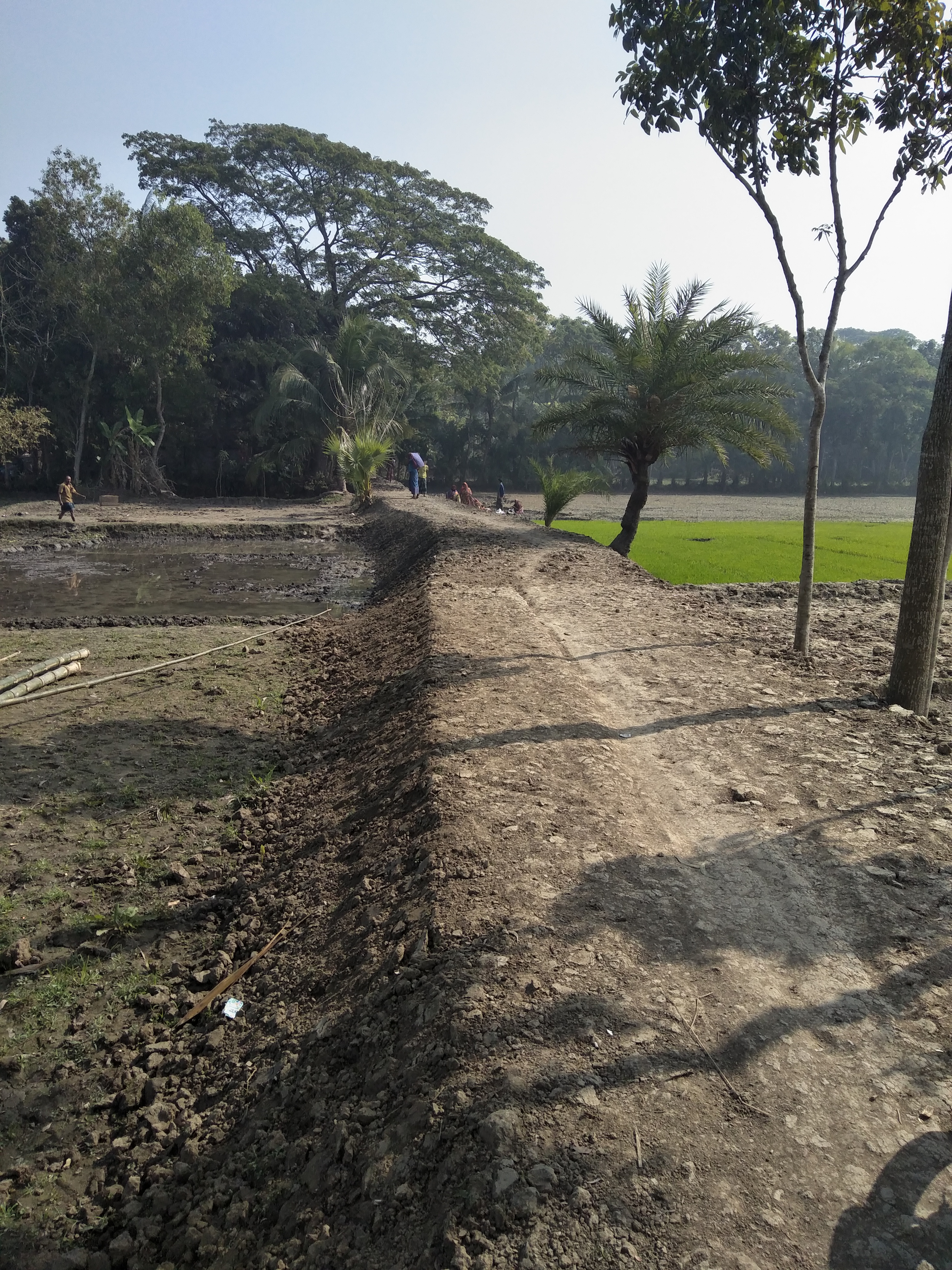 মজিদপুর ওয়ার্ড=৯