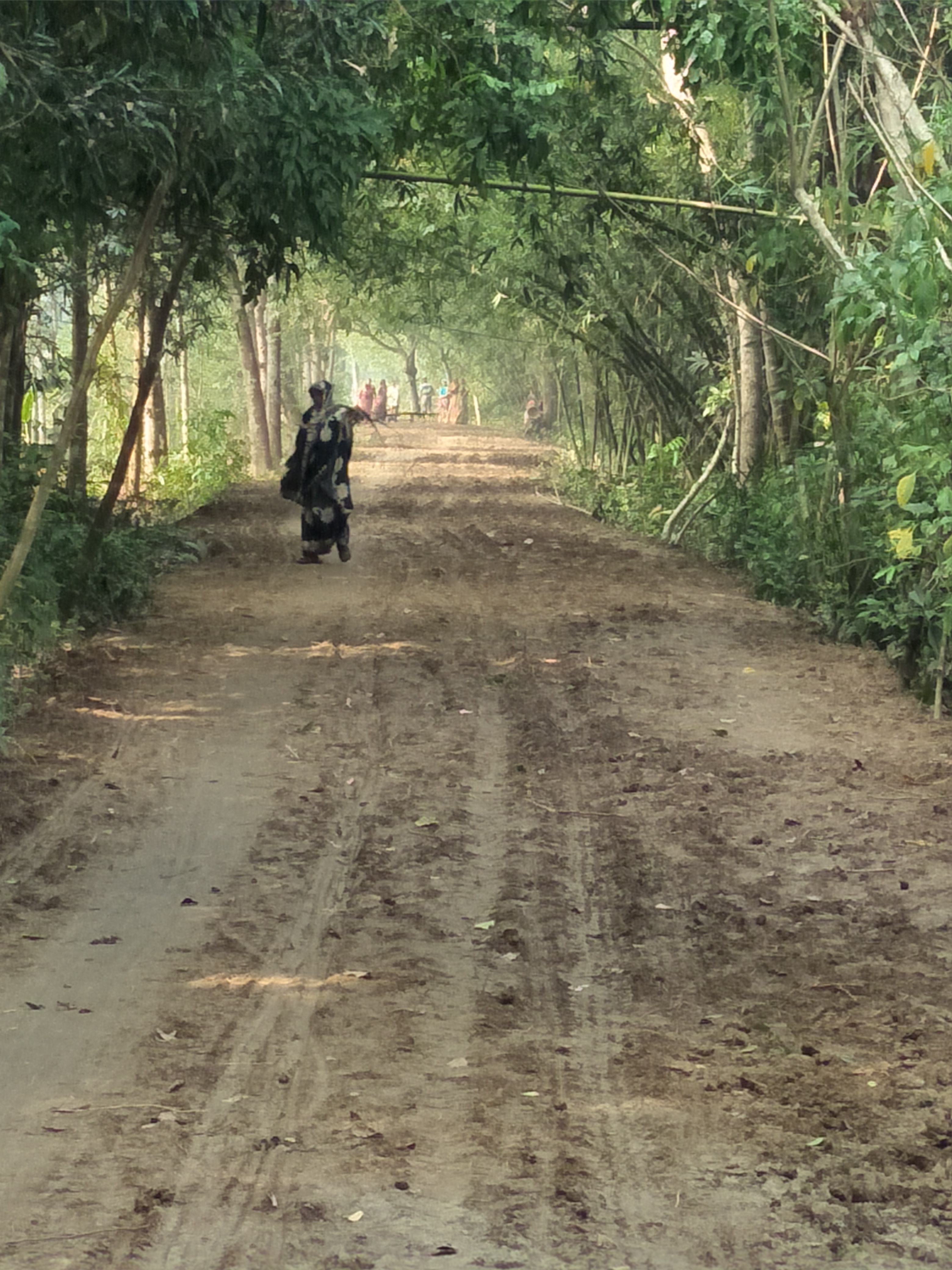 সাতবাড়ীয়া ওয়ার্ড-৬