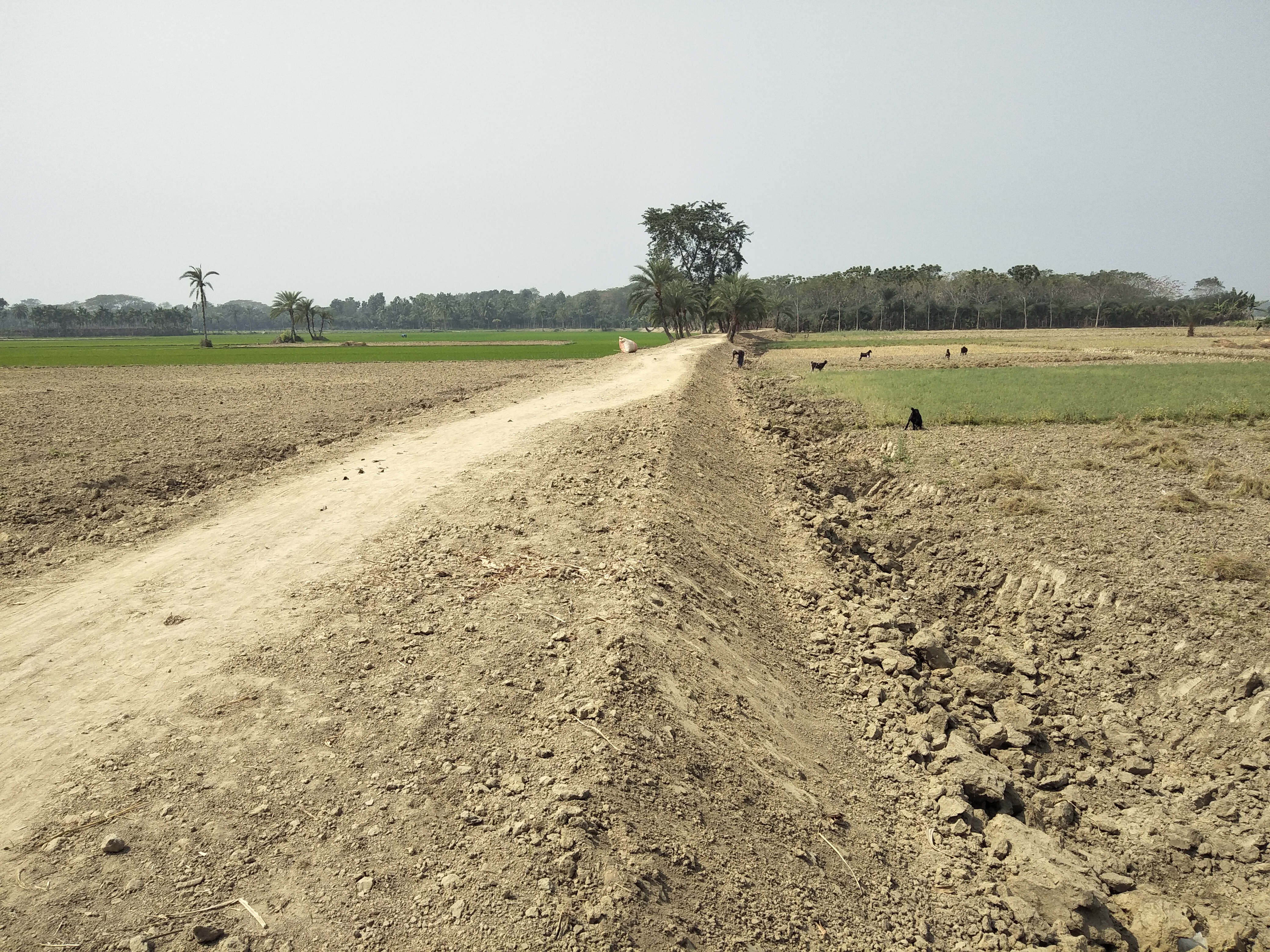 বরণডালী , ত্রিমোহিনী