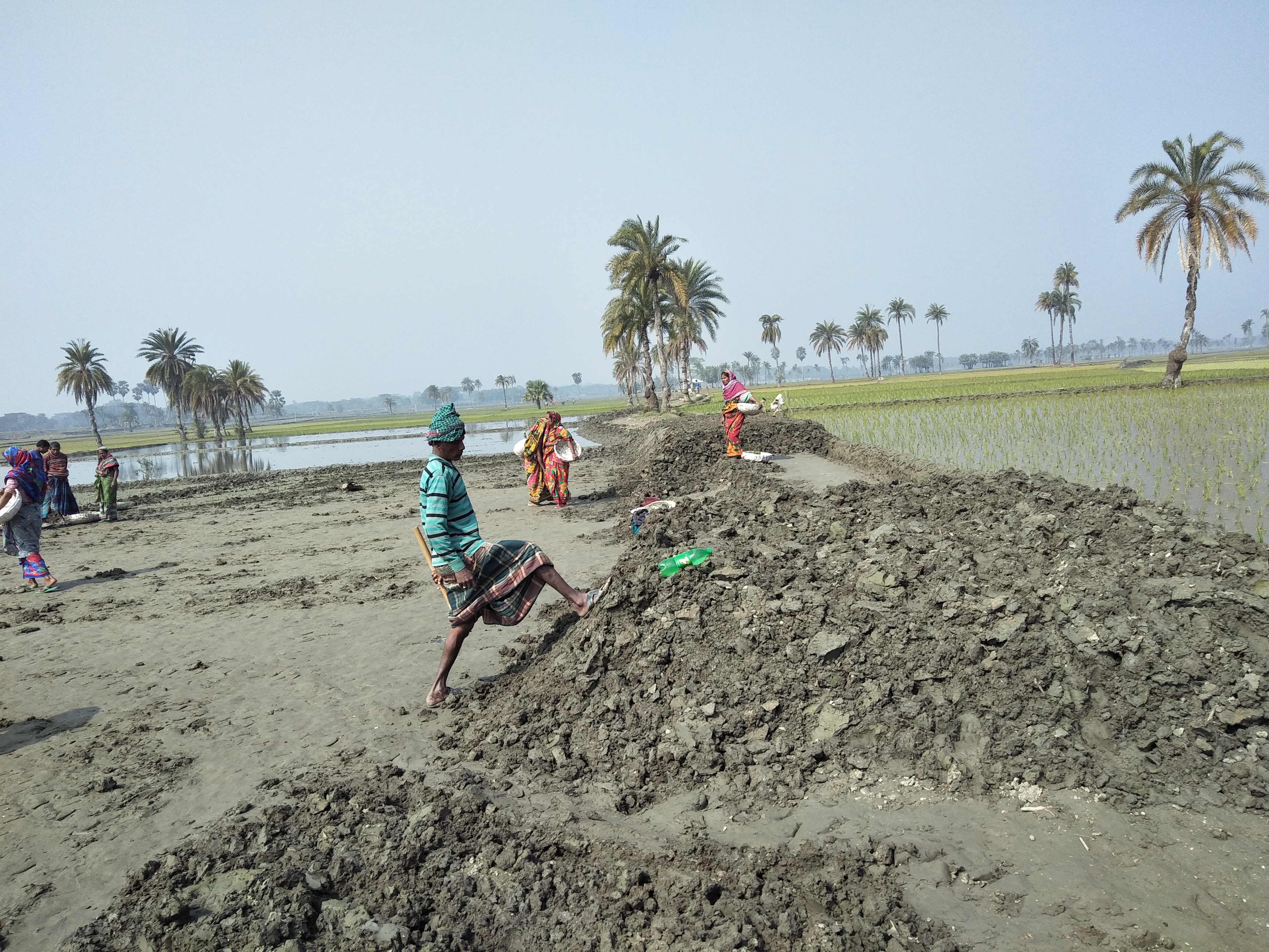 ত্রিমোহিনী ওয়র্ড-৮/৯