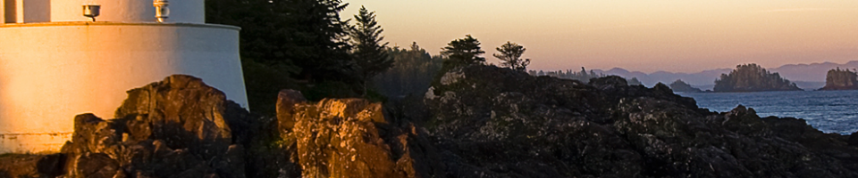 ব্যানার