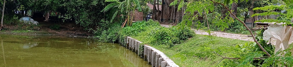 টিআর প্রকল্প