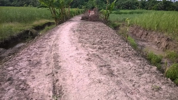 কাবিখা-২০১৪