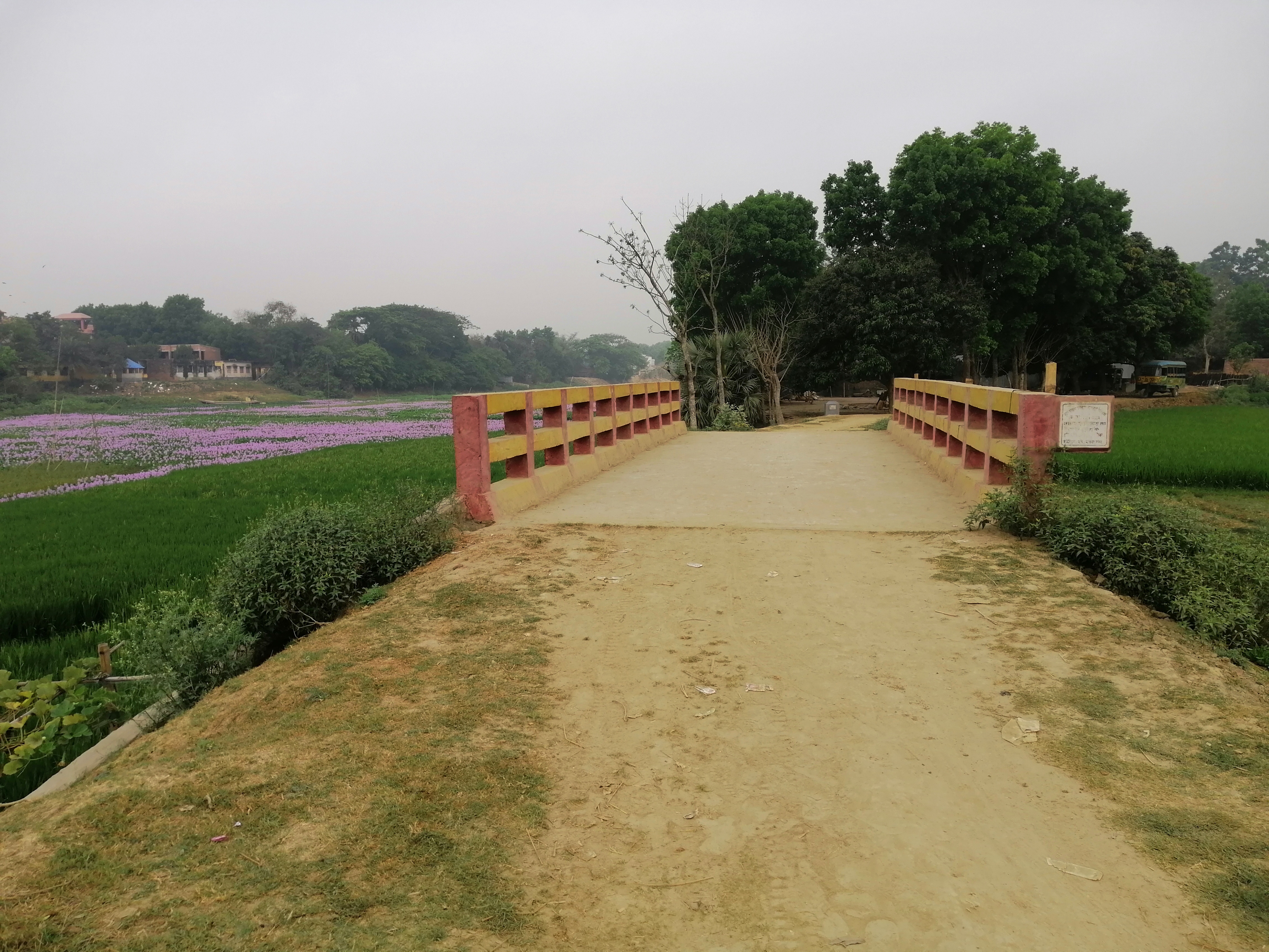 ব্রীজ ২০১৮-২০১৯