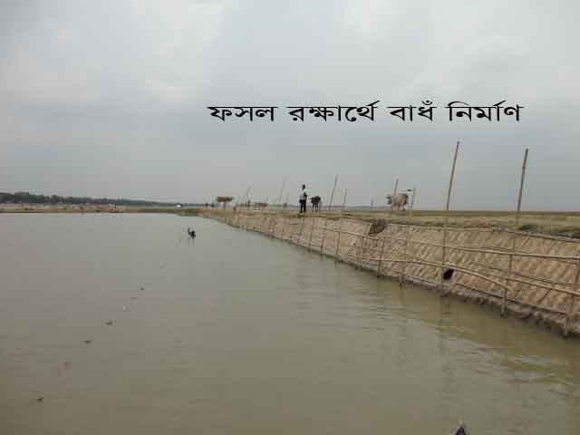 ফসল রক্ষার্থে বাধঁ পুন:নির্মাণ