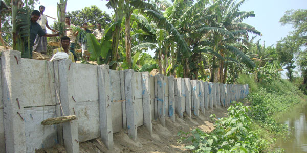 প্যালাসাইটিং 