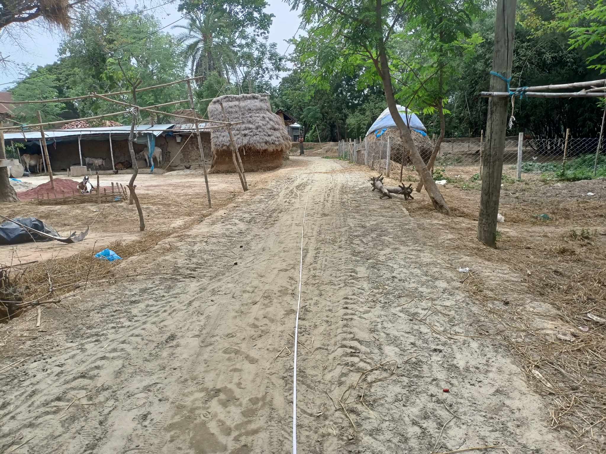 বিভিন্ন কাজের স্থির চিত্র