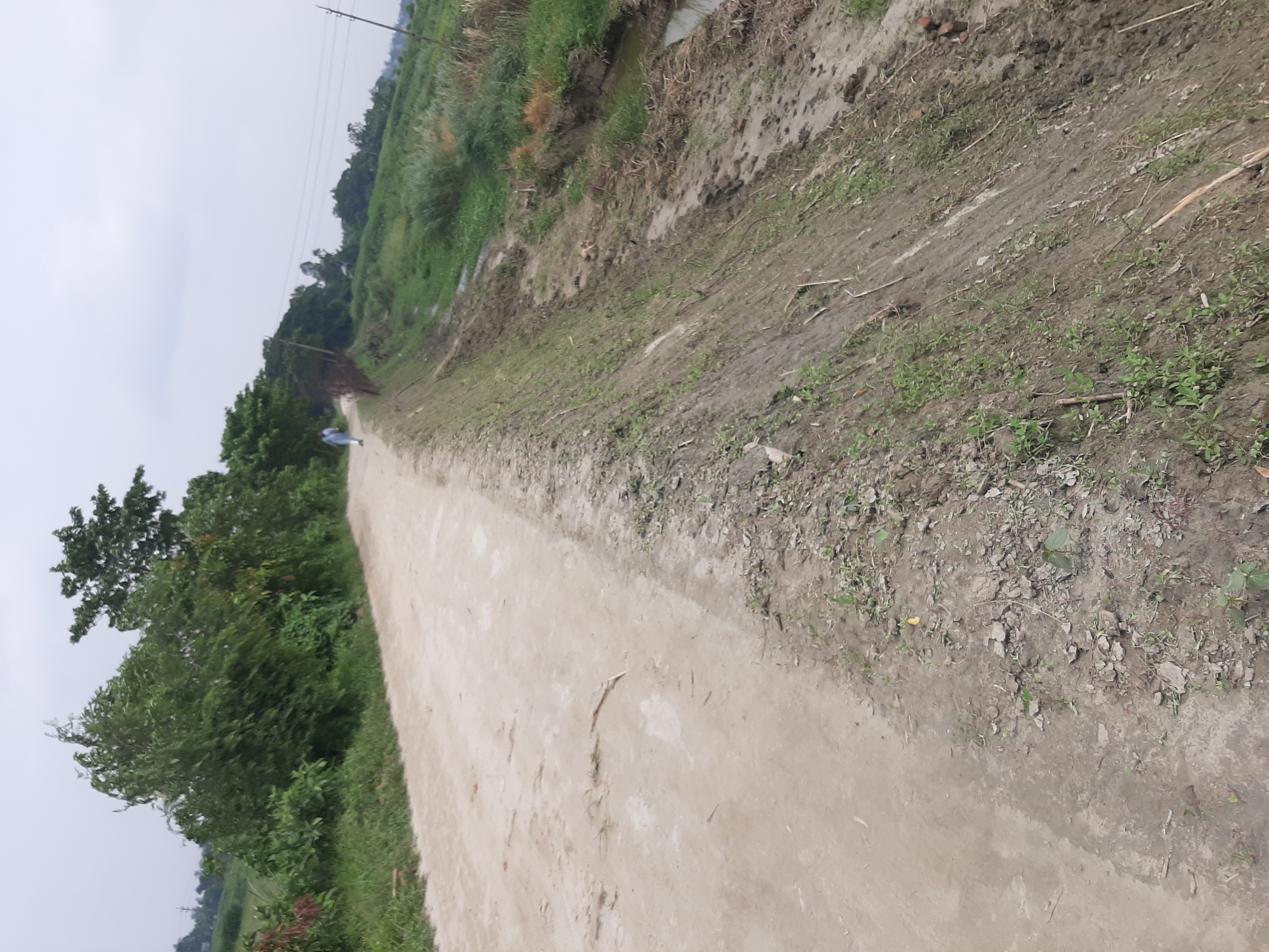 মাটির রাস্তা