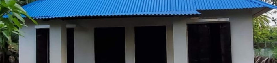 দুর্যোগ সহনীয় ঘর