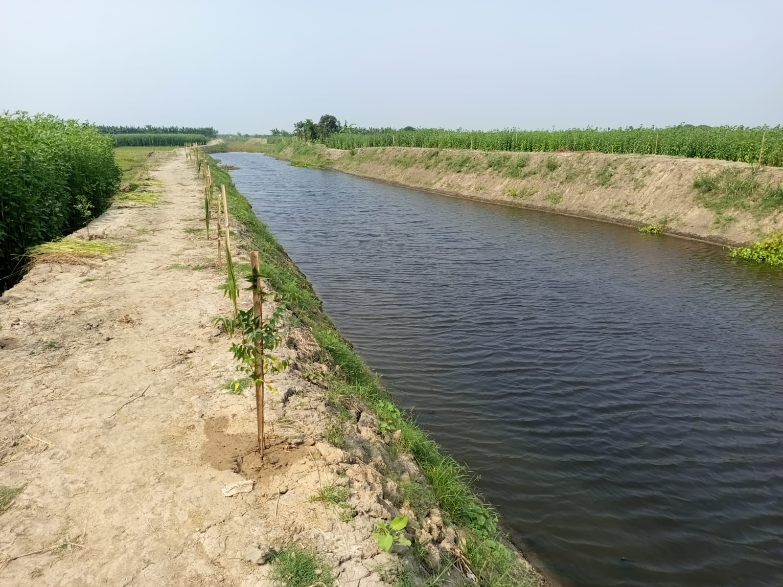 ব্যানার