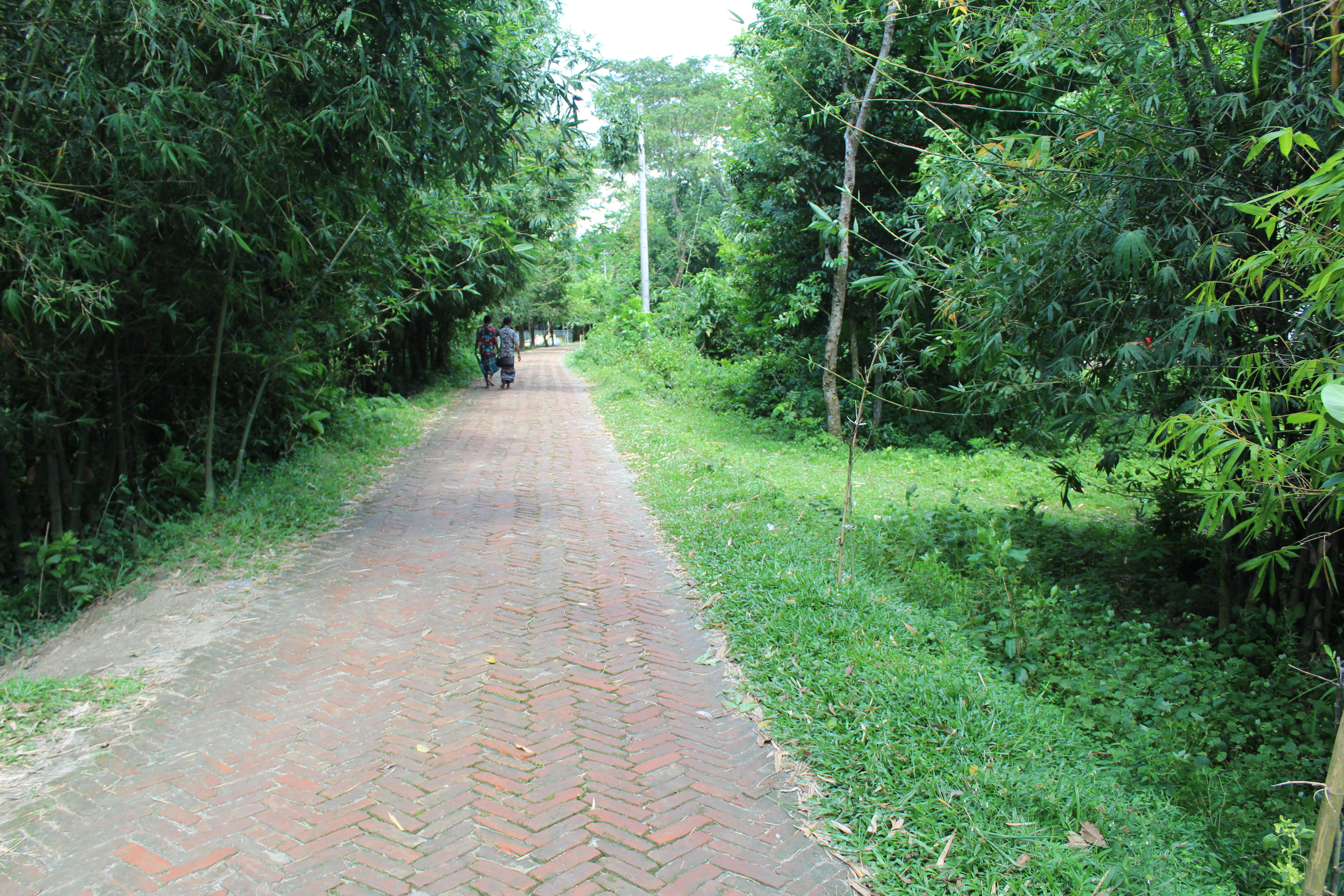 উপজেলা প্রকল্প বাস্তবায়ন অফিস