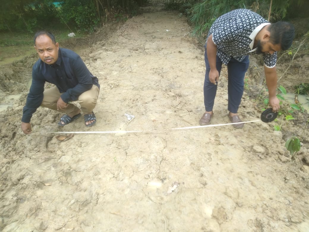 Project investigation