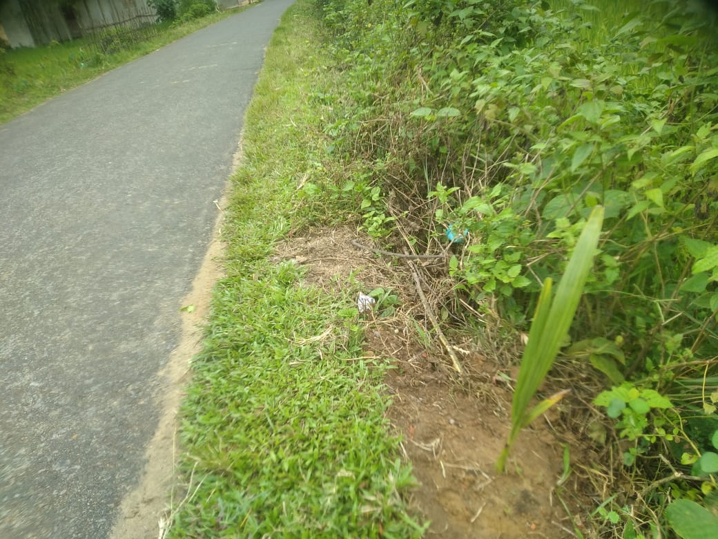 মুন্সিবাজার ইউনিয়ন পরিষদের আওতায় দুটি রাস্তায় তালগাছের চারা রোপন,