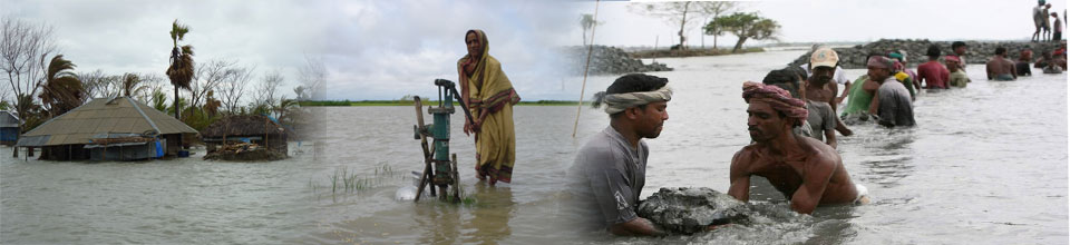 দুর্যোগ ব্যবস্থাপনা শাখা