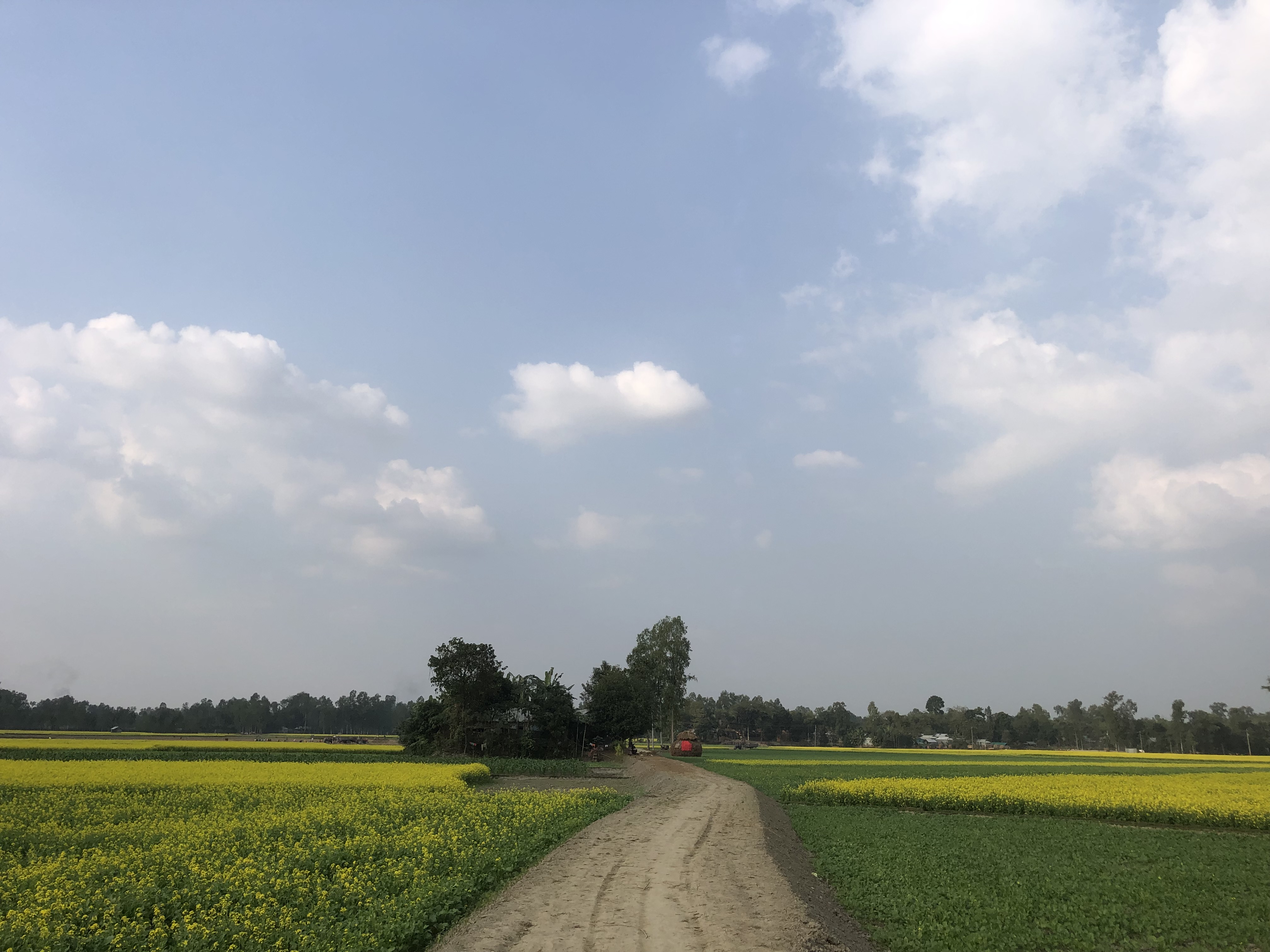 ২০২৩-২০২৪ অর্থ বছরে ১ম পর্যায়ে ইজিপিপি কর্মসূচি দ্বারা বাস্তবায়িত রাস্তা