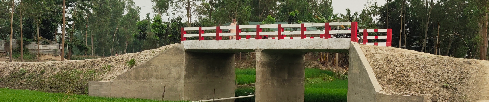 ব্রীজের ছবি