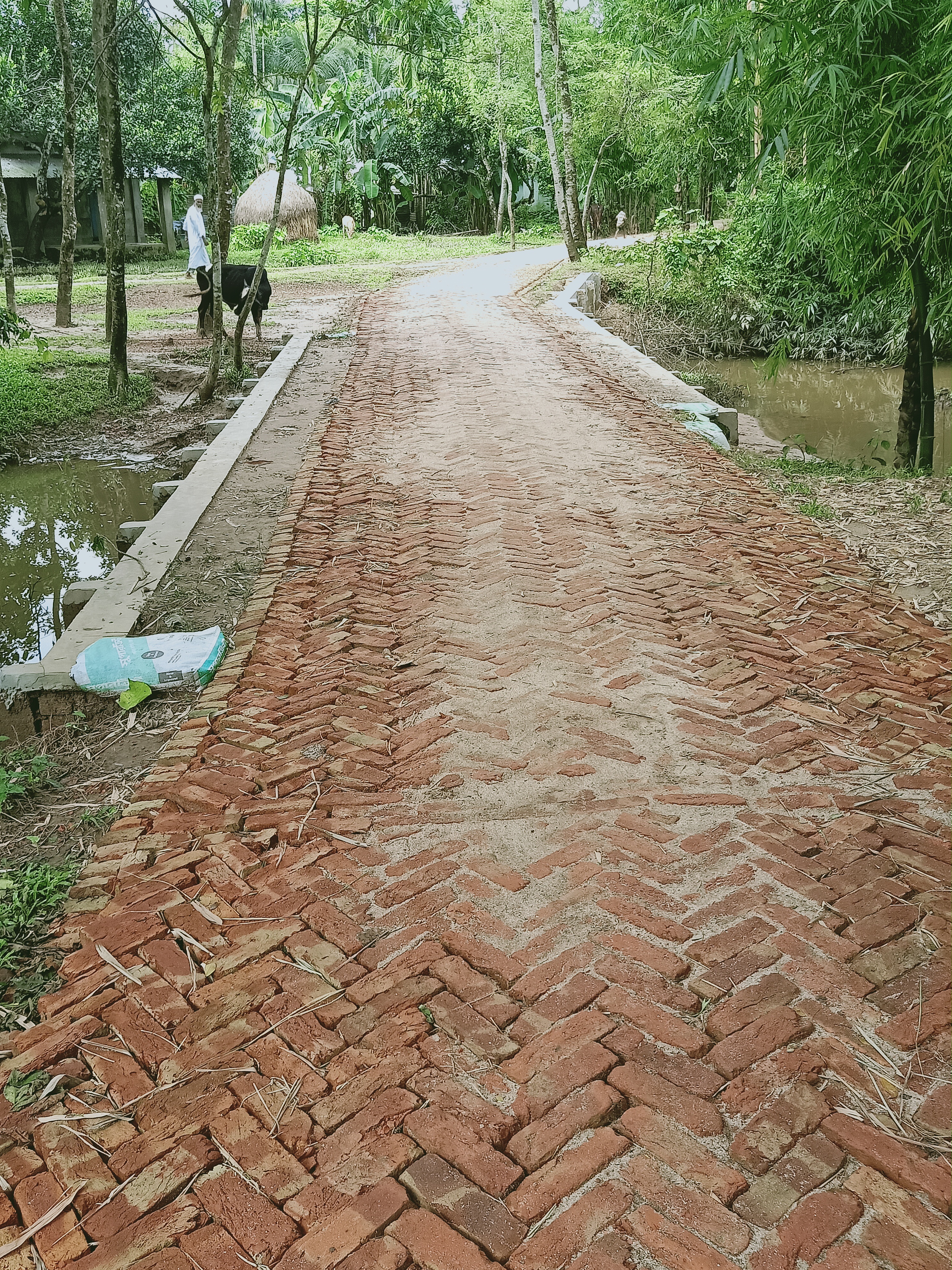 ২০১৯-২০২০ অর্থবছরে HBB প্রকল্প (সুরমা ইউনিয়ন)