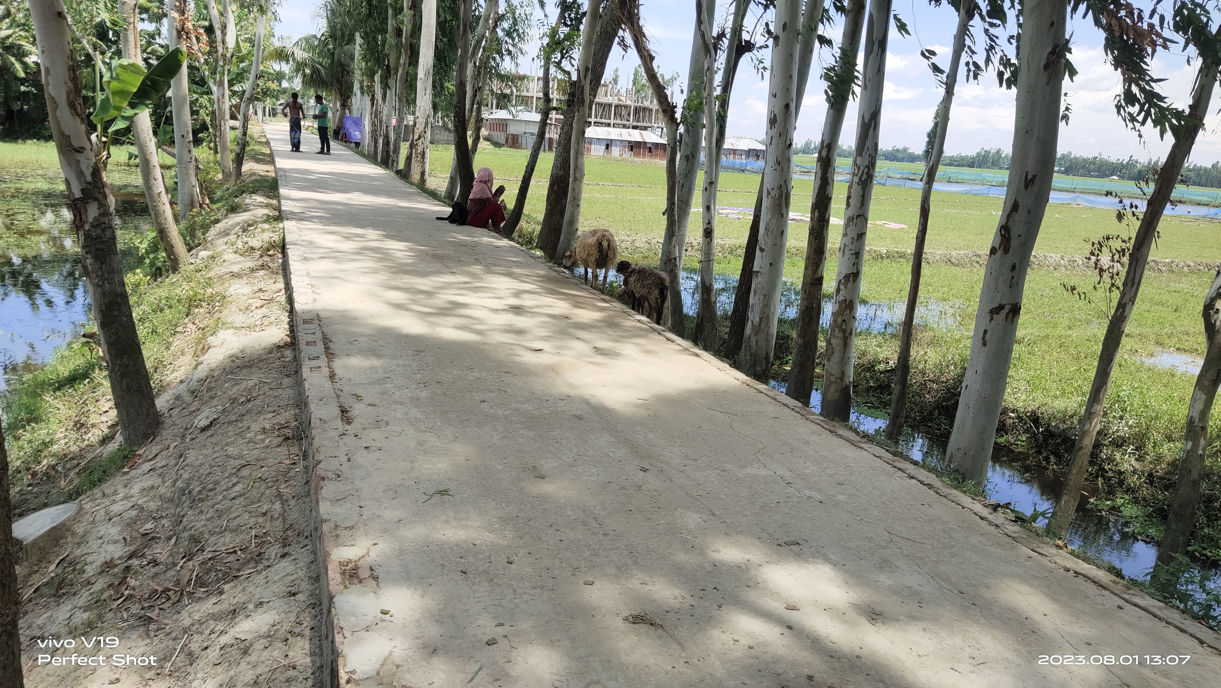 কা‌বিটা, টিআর