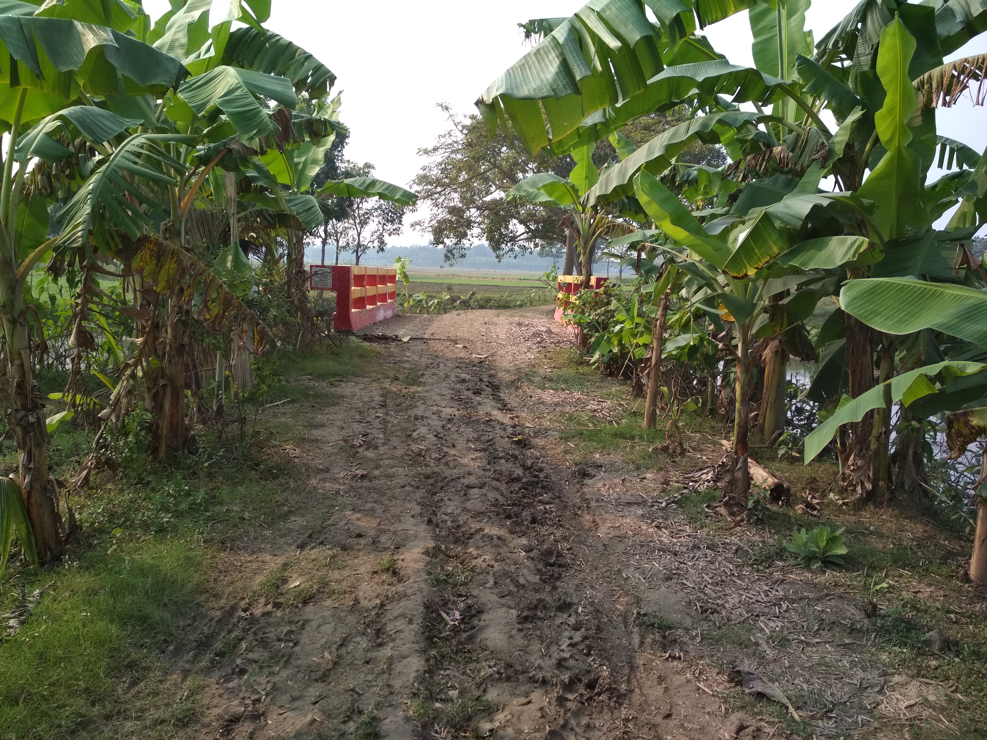 Service Process Simplification