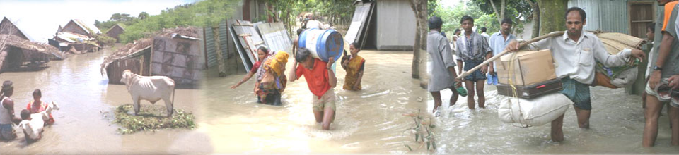 উপজেলা প্রকল্প