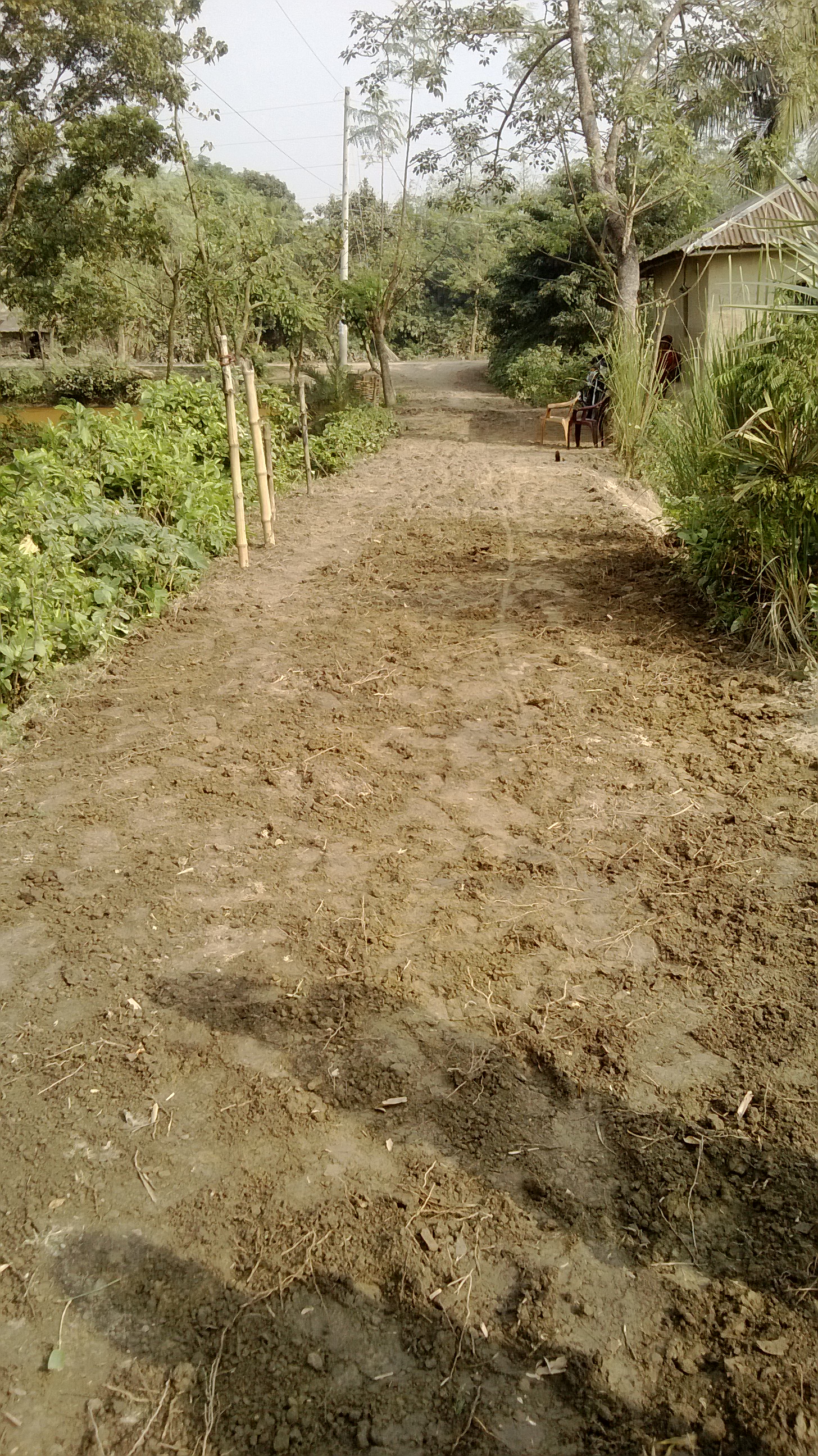 কাবিখা প্রকল্পের রাস্তা নির্মাণ