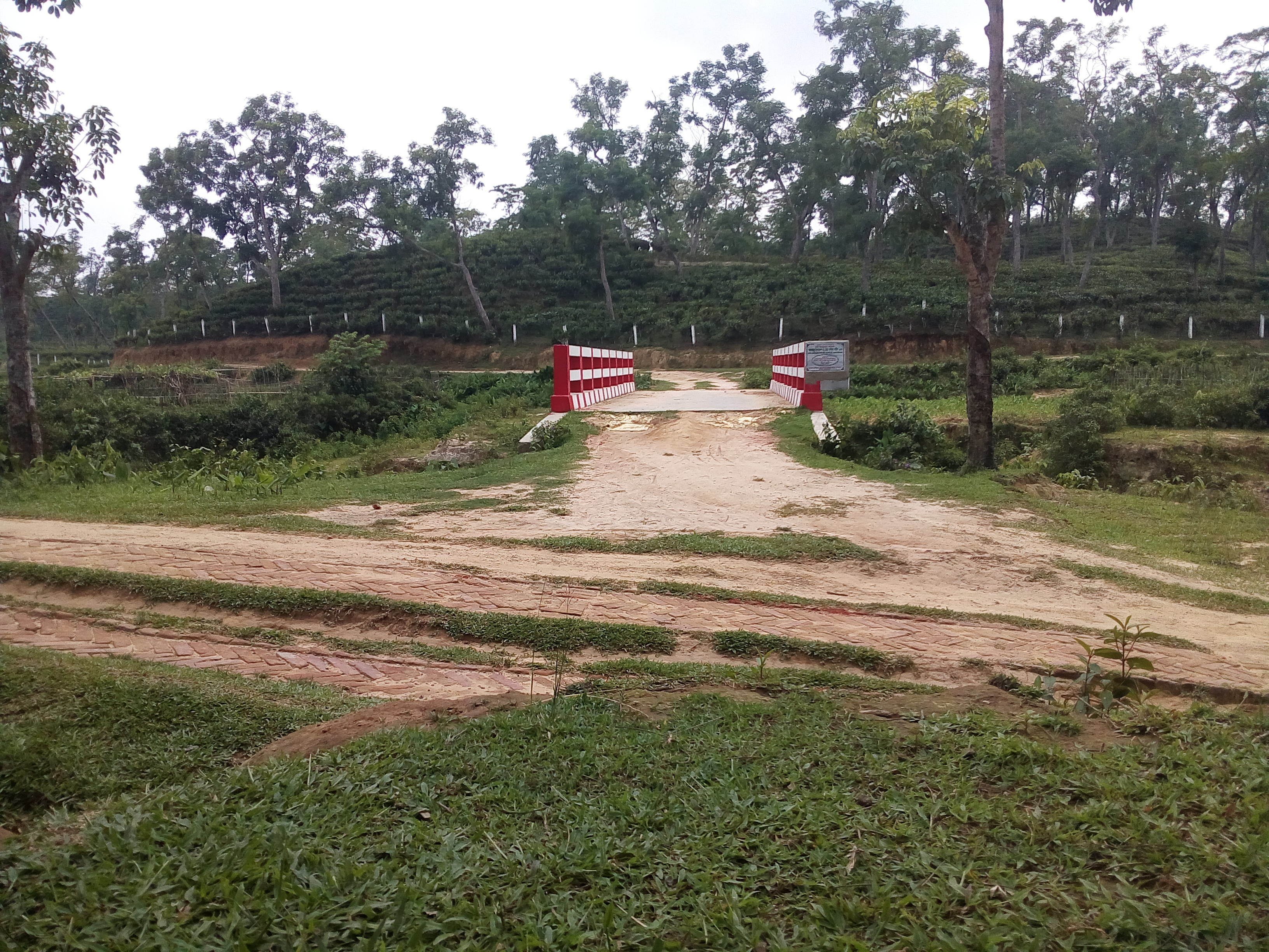 গ্রামীণ রাস্তায় ১৫ মিটার দৈর্ঘ্য পর্যন্ত সেতু/কালভার্ট নির্মাণ প্রকল্প