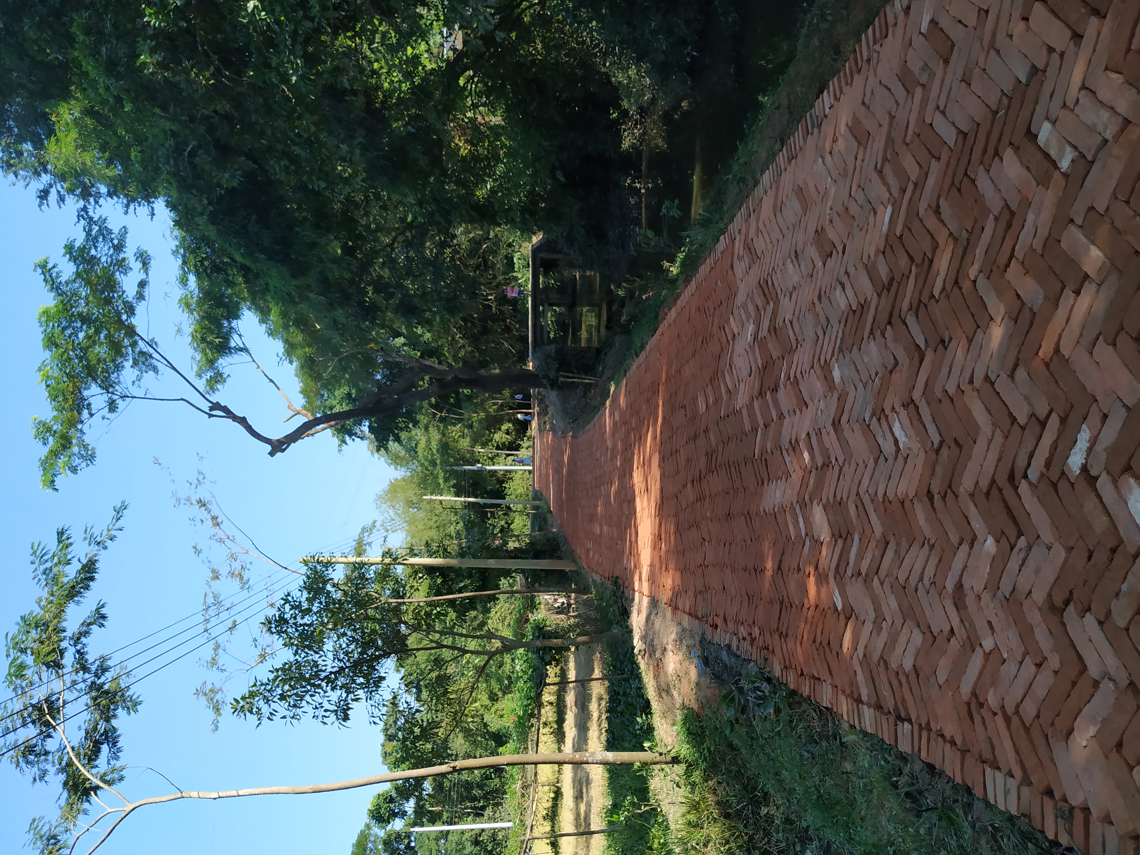 হেরিং বোন বন্ড (এইচবিবি)