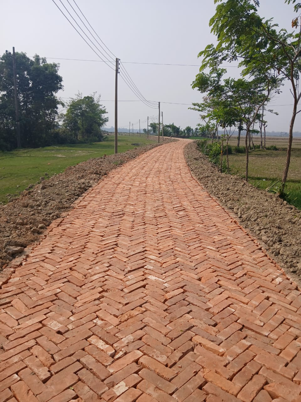 এইচবিবি (হেরিং বোন বন্ড)