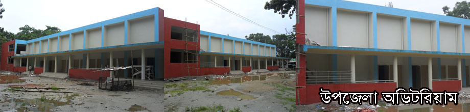 উপজেলা অডিটরিয়াম