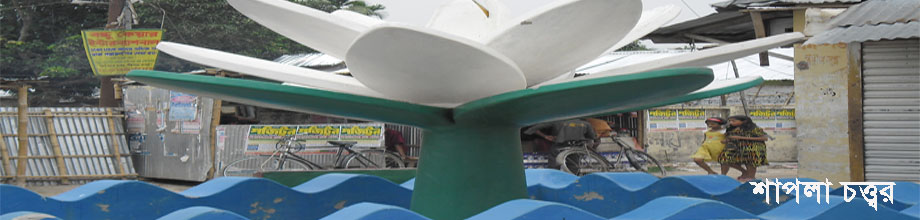 শাপলা চত্তর