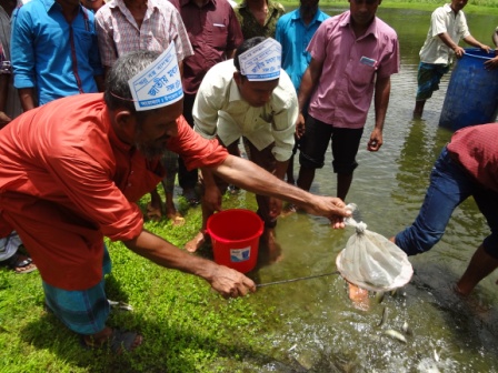 মাছের পোনা অবমুক্তকরণ
