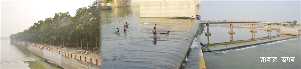 পীরগঞ্জ উপজেলার মৎস্য সম্পদ