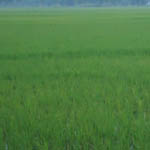 ভূমি অফিস