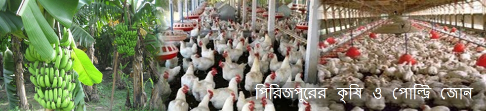 পিরিজপুর কৃষি