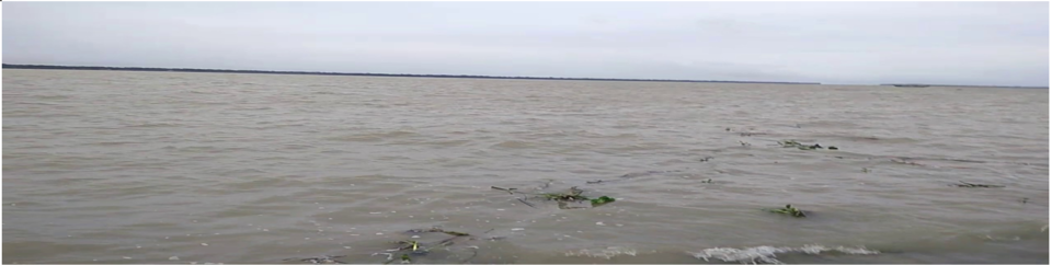 বলেশ্বর নদী