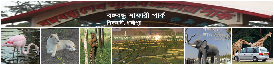 বঙ্গবন্ধু শেখ মুজিব সাফারী পার্ক