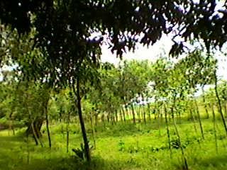 ফটোগ্যালারী