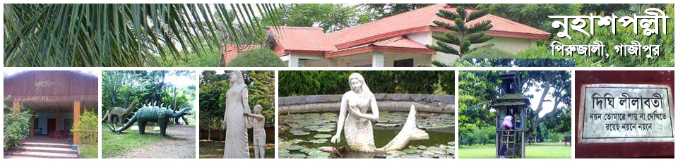 নুহাশপল্লী