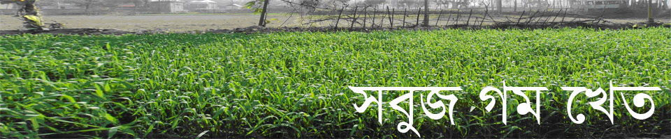 পবনাপুর ইউনিয়ন