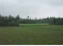 ফটোগ্যালারী