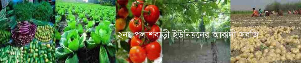 ২নং পলাশবাড়ী ইউনিয়নের আবাদী সবজি