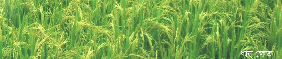 ২নং পলাশবাড়ী ইউনিয়ন তথ্য সেবা কেন্দ্র