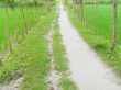 বিবিধ