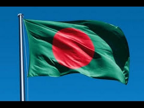 ফটো গ্যালারি