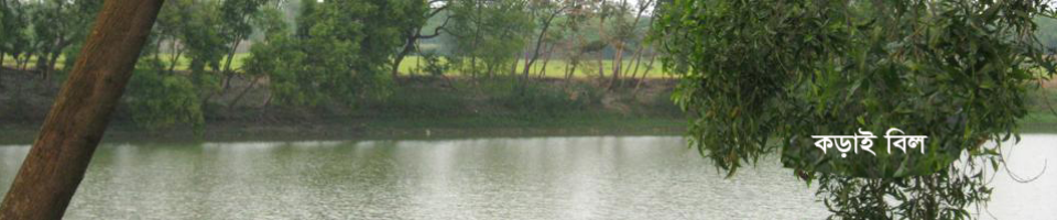 কড়াই বিলের পিকচার।