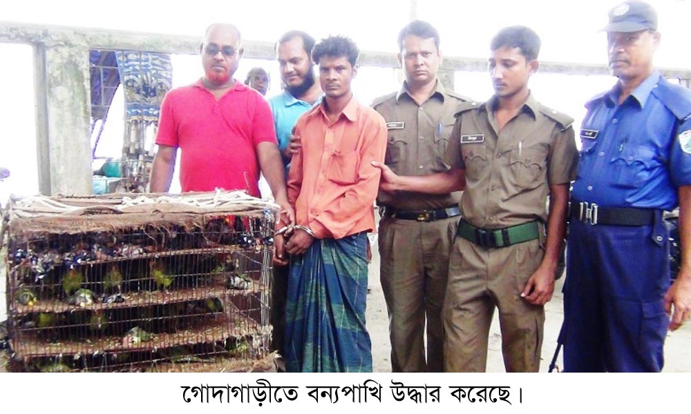 গোদাগাড়ী মডেল থানার অপরাধ বিষয়ক ছবি